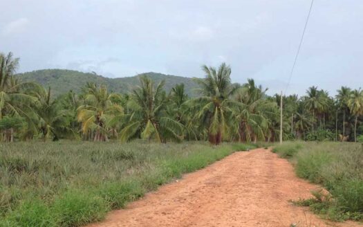 Perfect Size Land for Sale in Pranburi