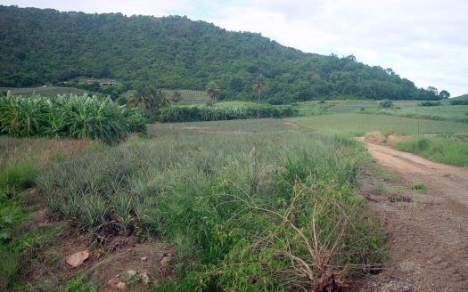 Land for Sale in Pranburi Wang Pong