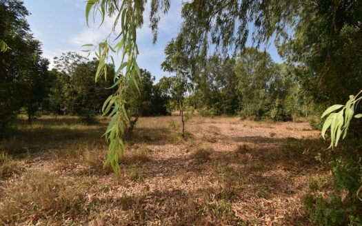 Land for Sale Khao Kalok